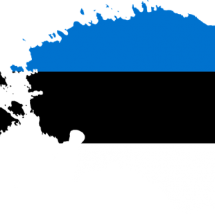 image vectorielle de l'Estonie avec les couleurs de son drapeau bleu, noir, blanc