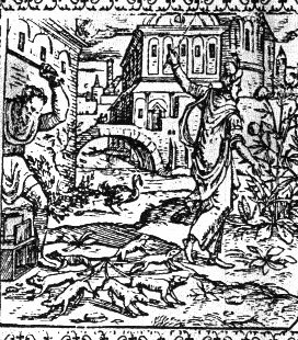 vignette représentant un roi des rats (1576)