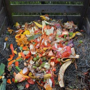 photographie d'un tas de compost