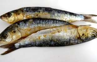 photographie de trois sardines cuites