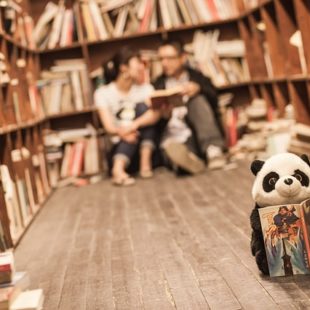 Peluche panda lisant un livre