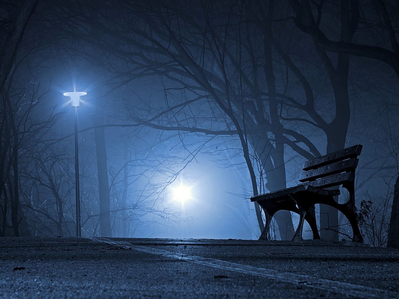 Parc brumeux de nuit, vue d'un banc et d'un lampadaire qui éclaire.