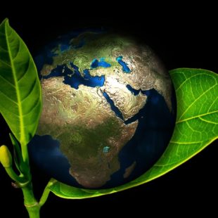 Planète Terre posée sur une feuille par Gerd Altmann de Pixabay