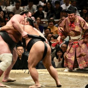 Scène de lutte entre deux sumos