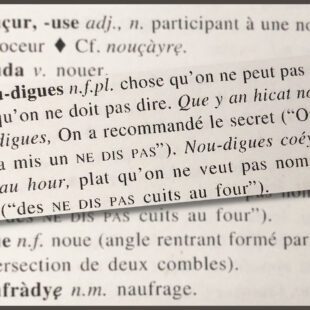 Gros plan sur la définition de nou-digues dans le dictionnaire