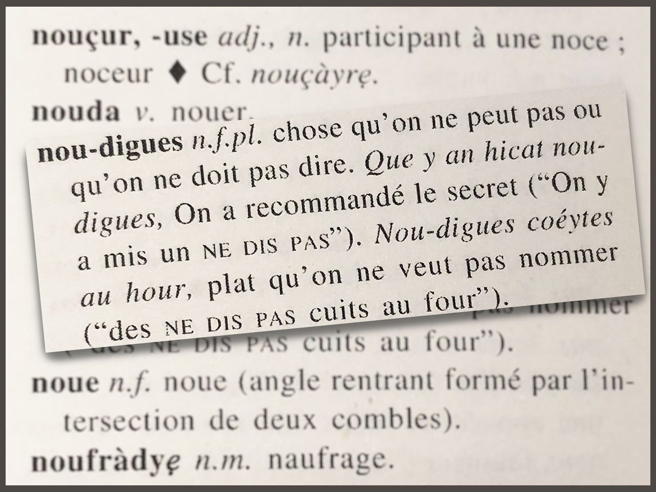 Gros plan sur la définition de nou-digues dans le dictionnaire