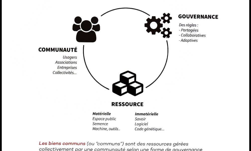 Graphique noir et blanc en format paysage expliquant les biens communs. L'image est accompagnée d'une légende