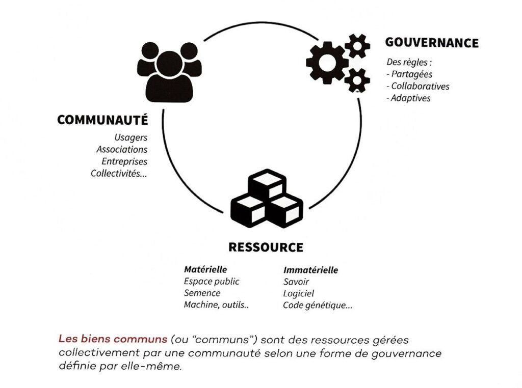 Graphique noir et blanc en format paysage expliquant les biens communs. L'image est accompagnée d'une légende