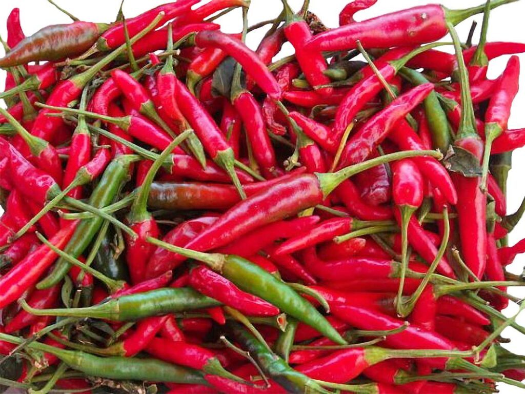 Tas de piments rouges et verts