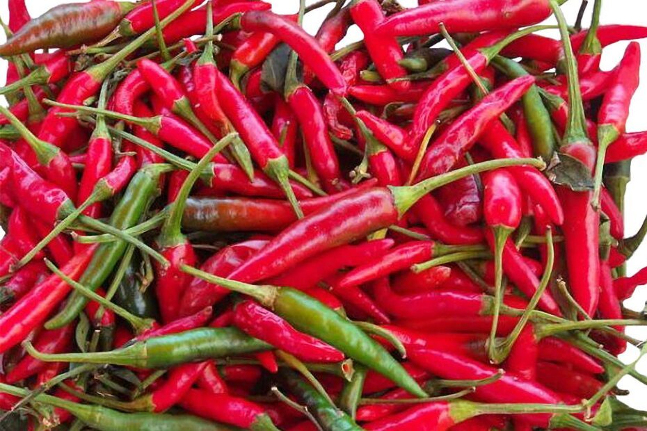 Tas de piments rouges et verts